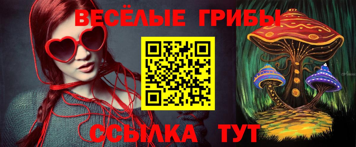 Галлюциногенные грибы Cubensis Нефтекамск